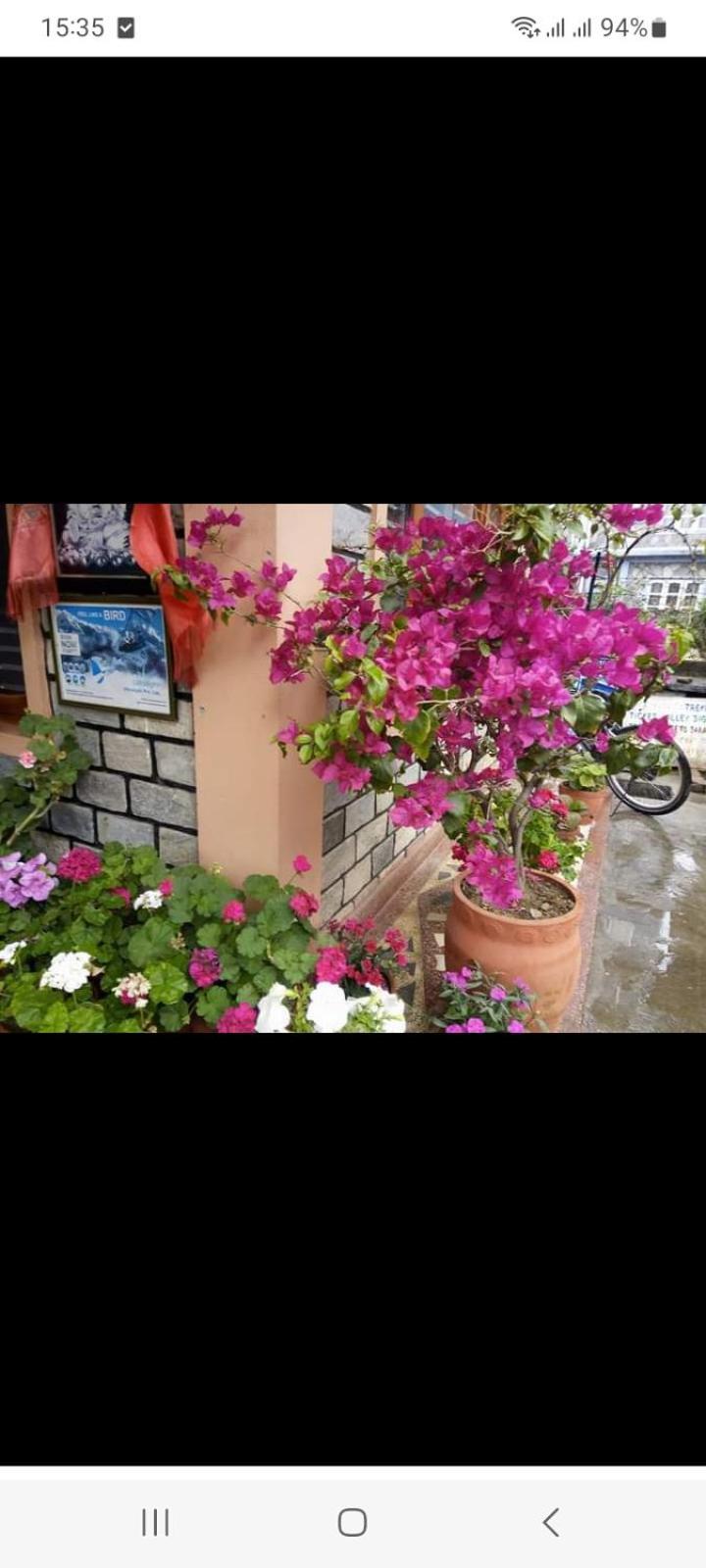 Galaxy Inn Guest House بوكْرا المظهر الخارجي الصورة