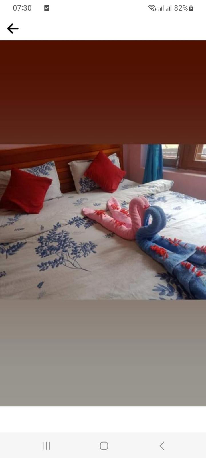 Galaxy Inn Guest House بوكْرا المظهر الخارجي الصورة