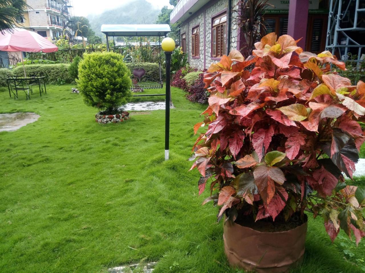 Galaxy Inn Guest House بوكْرا المظهر الخارجي الصورة